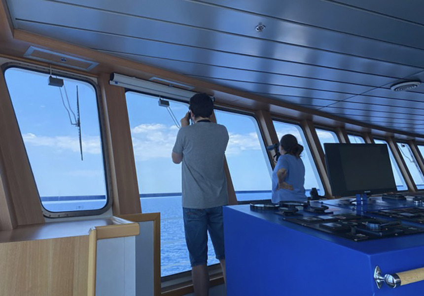 Investigadors de la UV formen part d'un projecte coordinat per al monitoratge de cetacis i tortugues marines des de ferris